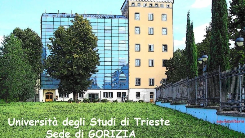 example image