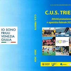 PUBBLICAZIONE