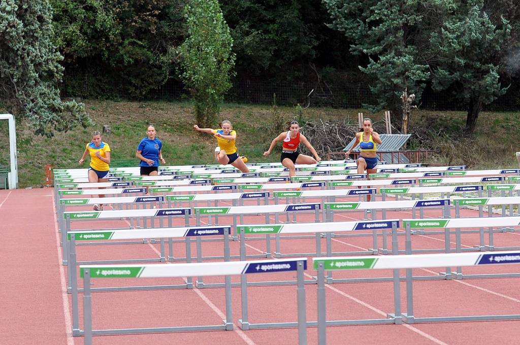 Anteprima immagine