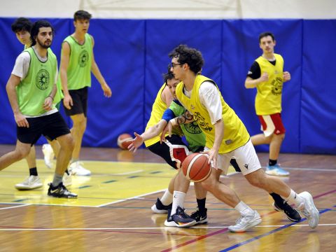 Basket