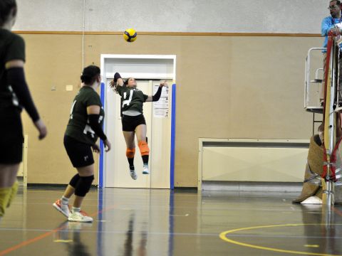 Pallavolo